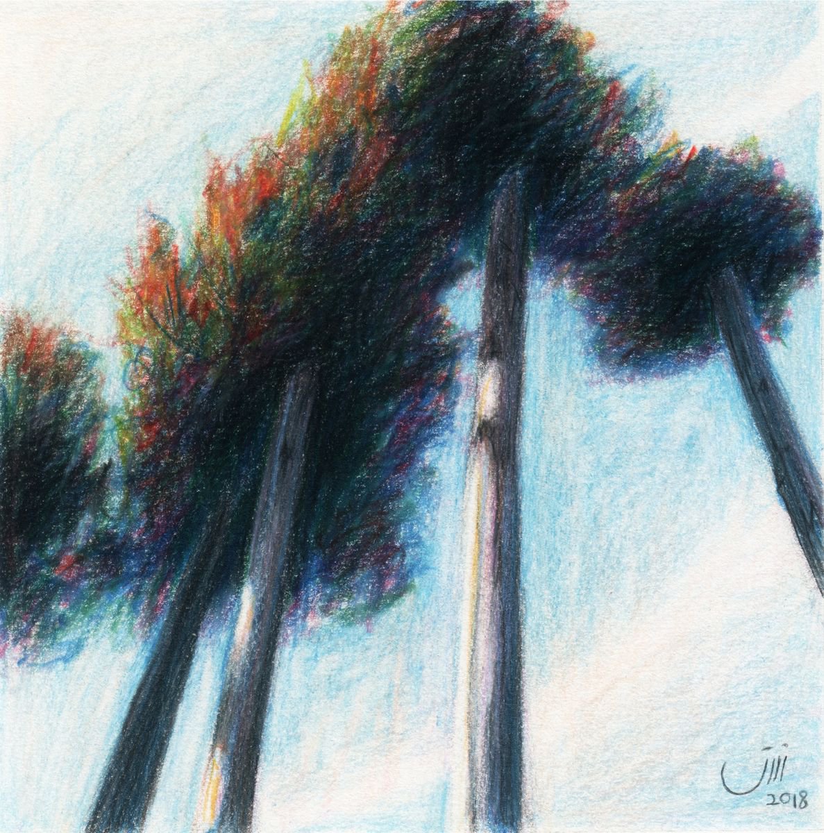 No.128, Trees in Sky by sedigheh zoghi