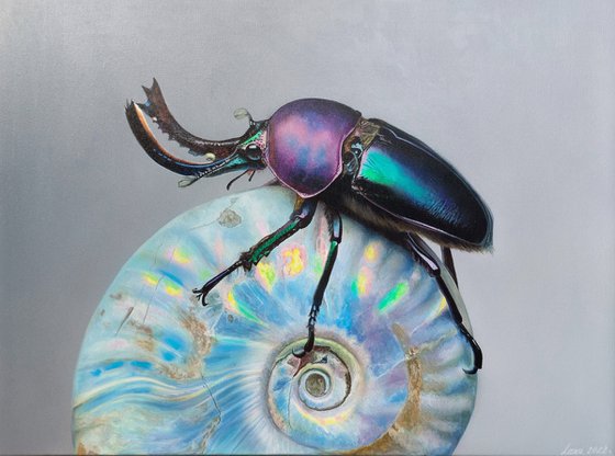 Stag beetle on a shell, realistic shiny beetle, hyperrealism, art realism, beautiful insects