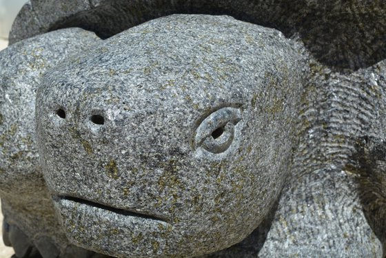 "Giant Tortoise"