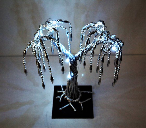 Silver Weeping Willow tree