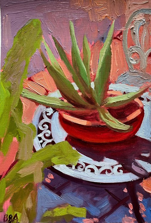 Aloe pot on a table by Anna Bogushevskaya