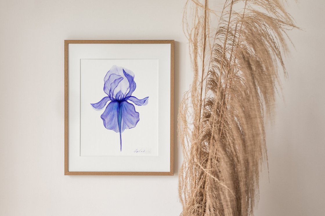 Original Watercolour - Xray Purple Iris by Olga Kölsch