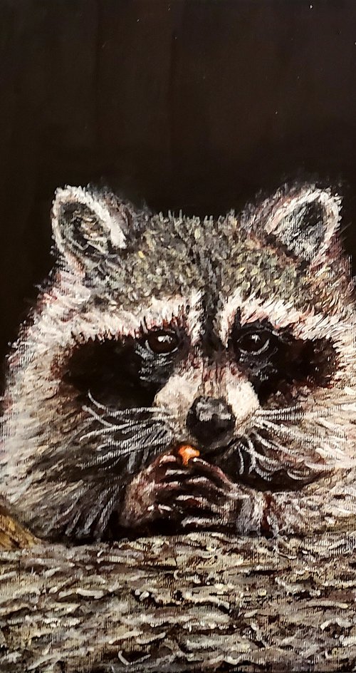 Raccoon Eating Fruit by Robbie Potter