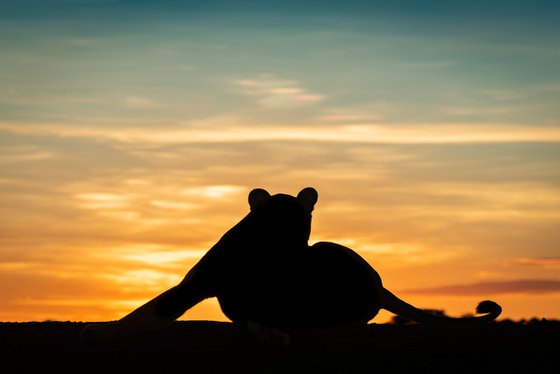 Dawn Yoga