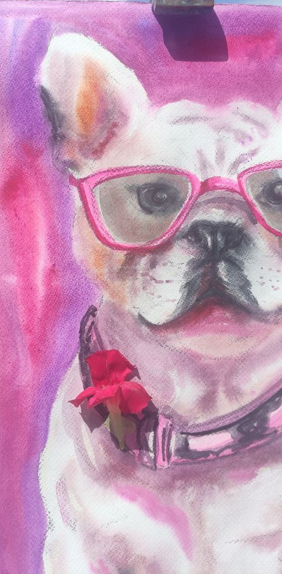 Pink French Bulldog Modern