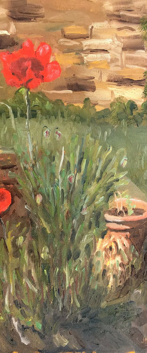 First Poppies - An original oil painting by Julian Lovegrove Art