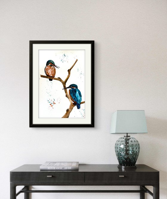 A pair of Kingfisher Birds