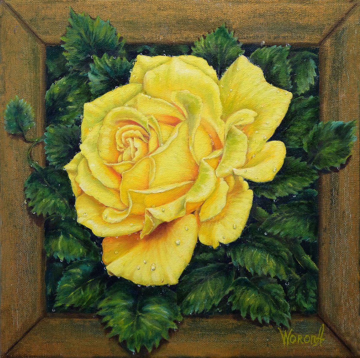 Photorealistic Botanical Oil Painting By Anastasia Woron, 12 X 12, Rose.yellow Rose., Original Artwork