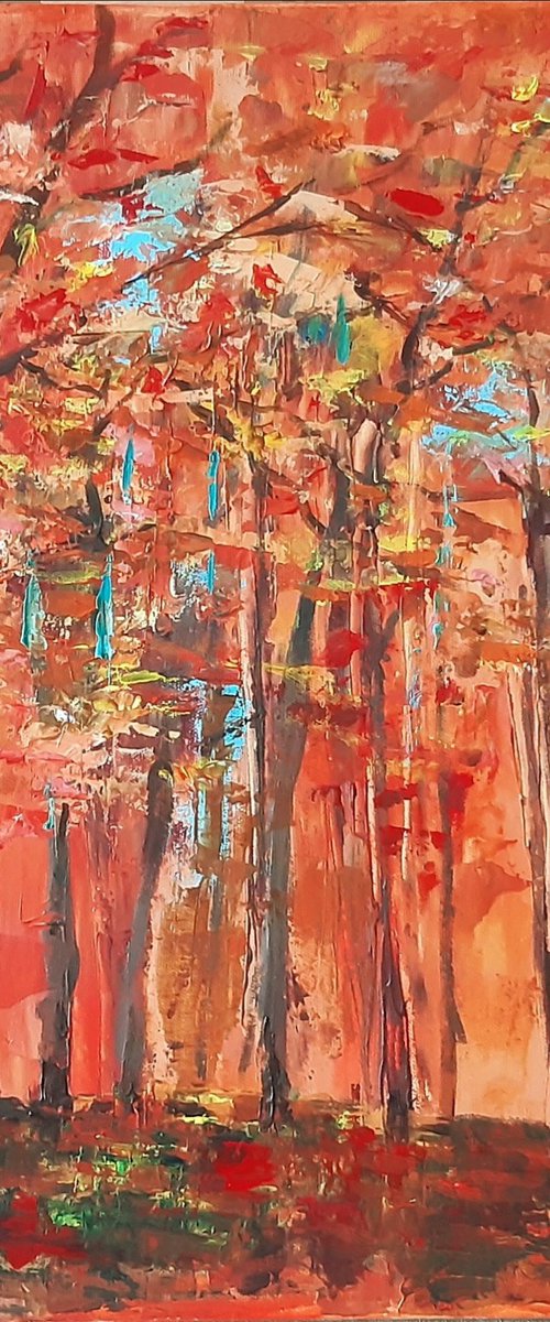 Autumn colours by Steve Keenan