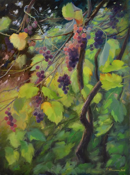 Grape vine by Ruslan Kiprych