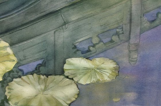 Lotus pond reflection
