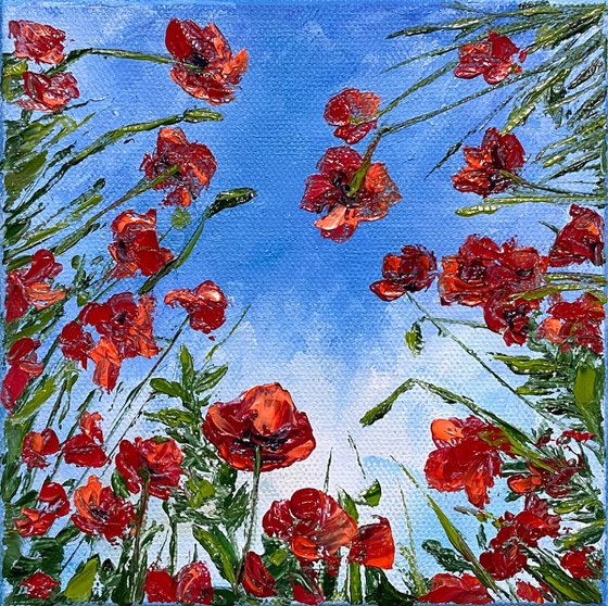 Poppies in the sky