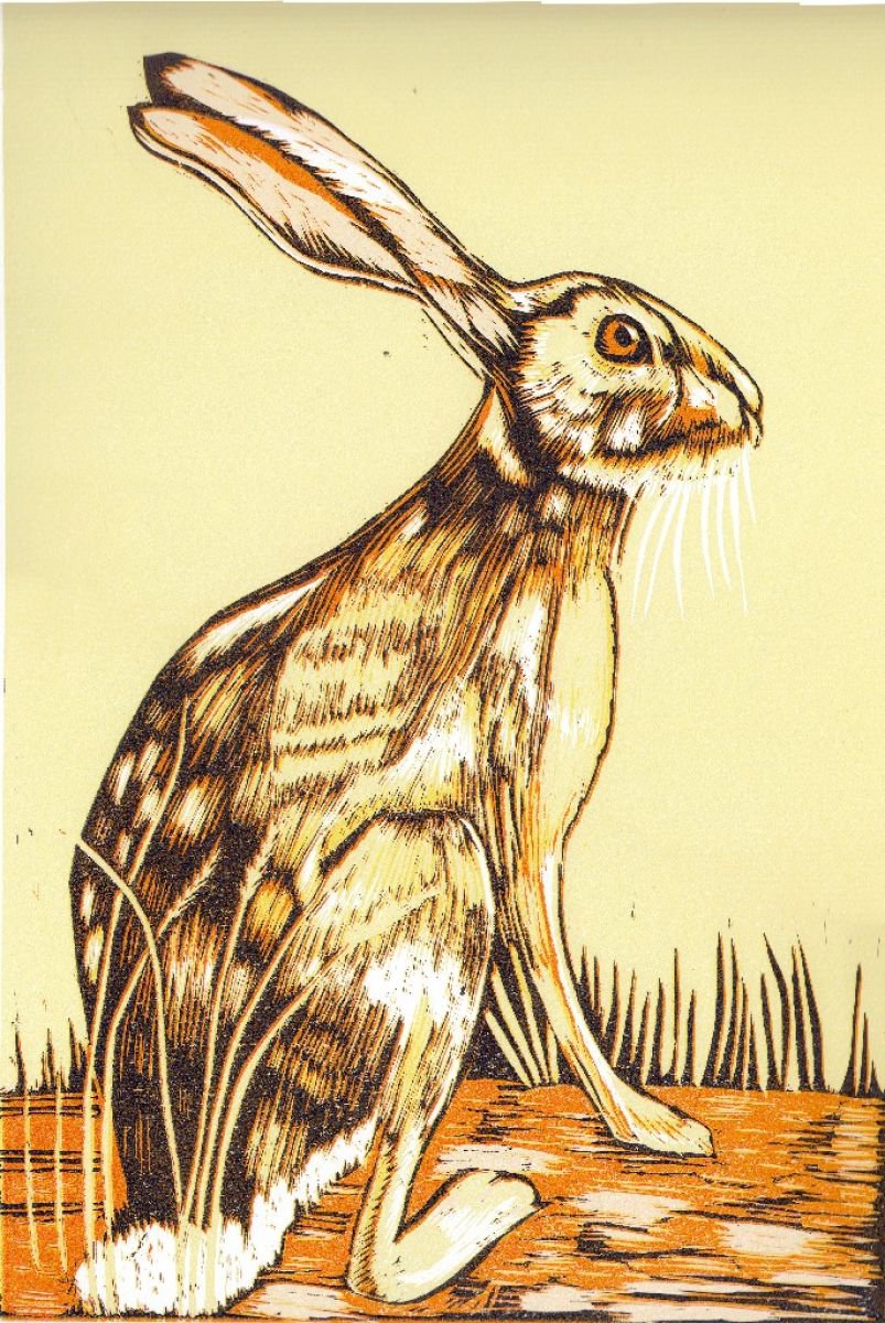 Yellow Hare by Marian Carter