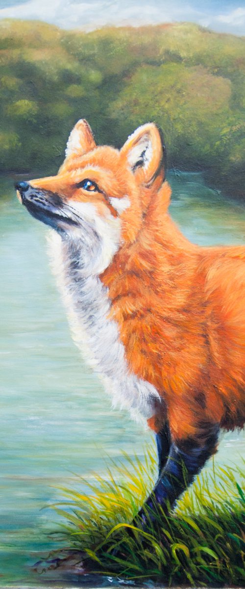 Red Fox by Norma Beatriz Zaro
