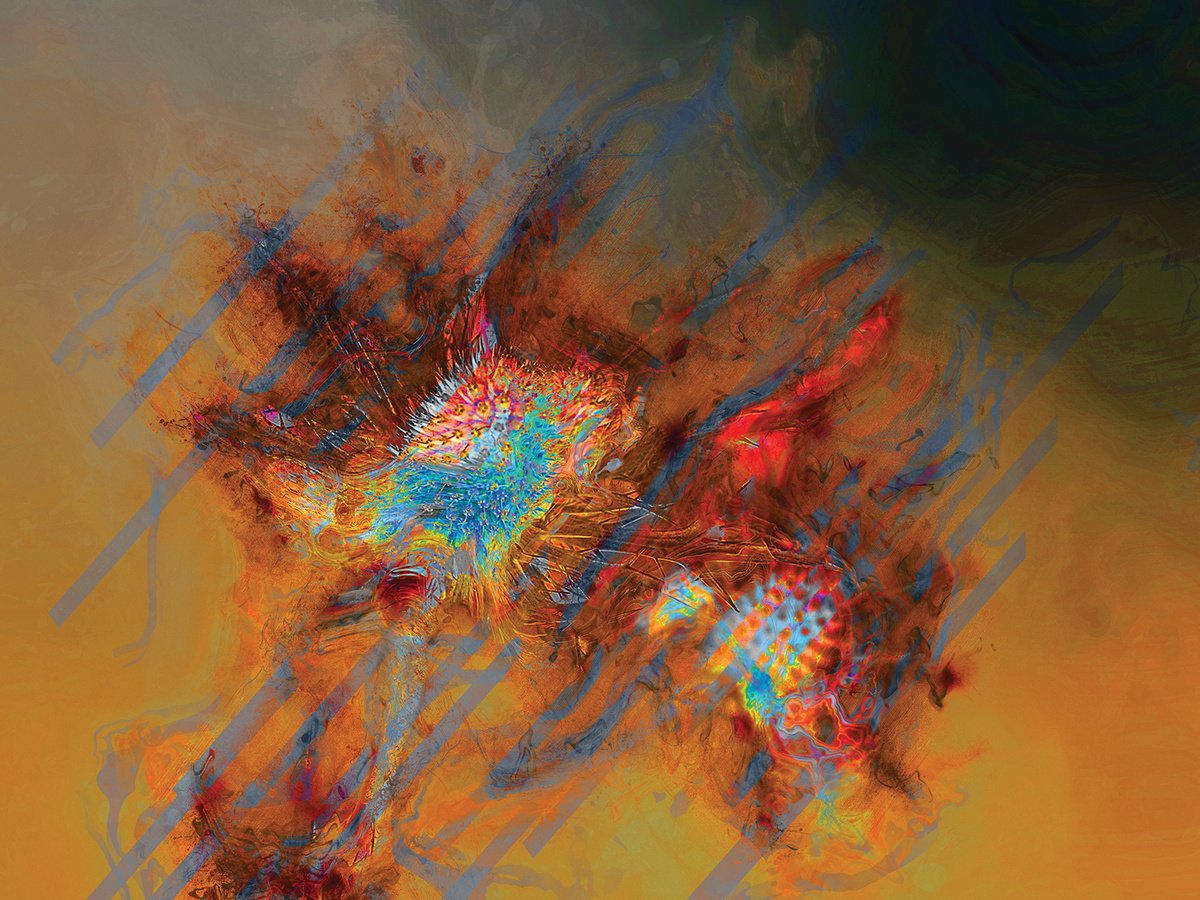 Abstract Botanical Print By Javier Diaz, 80 X 60, Secretos 6, Original Artwork