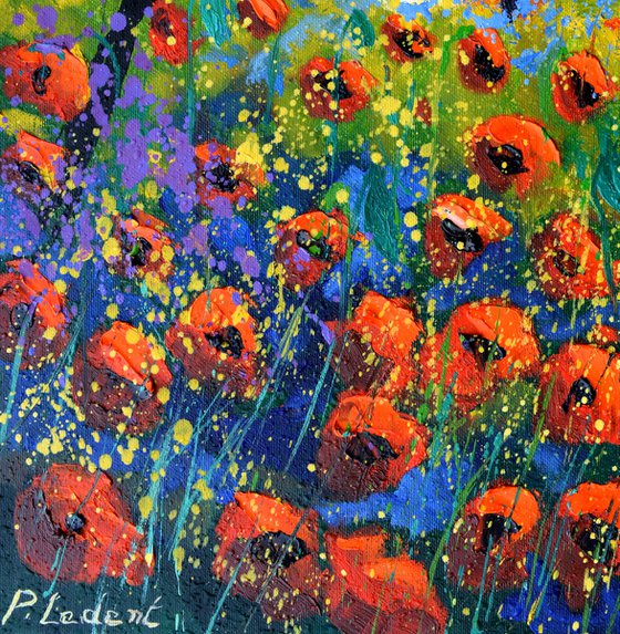 Poppies in Provence 4525