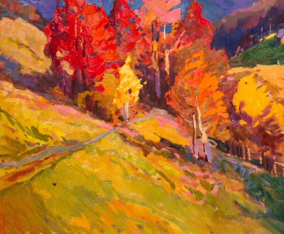 Fall Colors