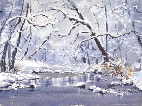 Winter’s Gentle Lace