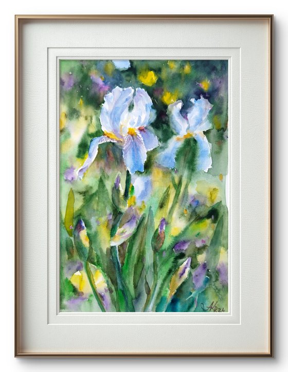 Charming flowers of iris