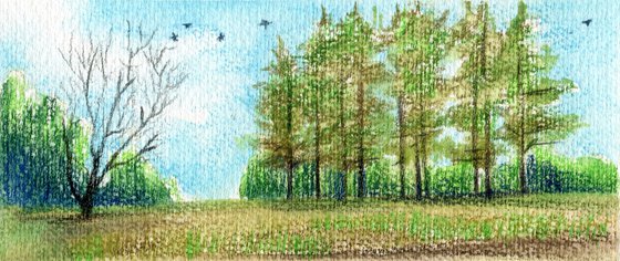 Miniature forest landscape.