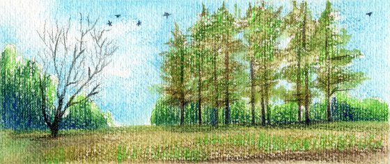 At the edge of the forest. Miniature forest landscape. Original artwork.