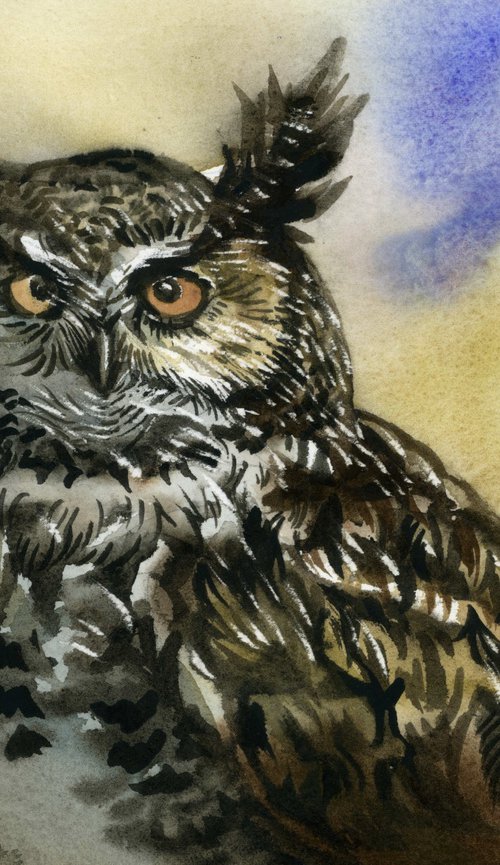 long-ear owl by Alfred  Ng