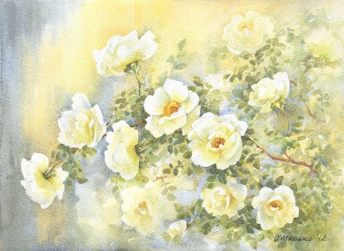 Wild Rose / ORIGINAL watercolor 14x11in (38x28cm) by Olha Malko