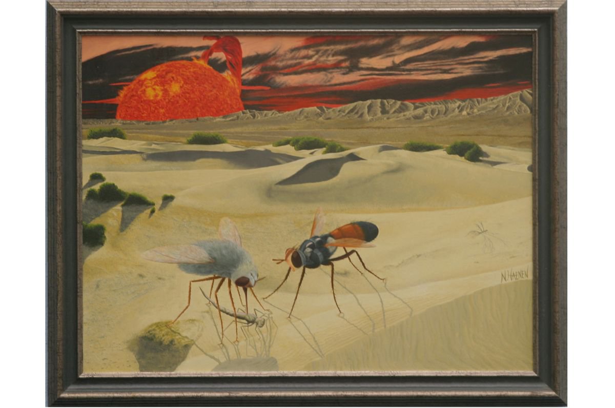 Insects in the dessert by Niek Haenen