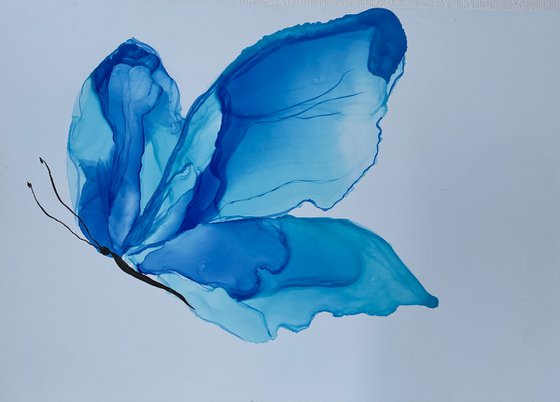 BLUE BUTTERFLY - alcohol ink , plastic paper