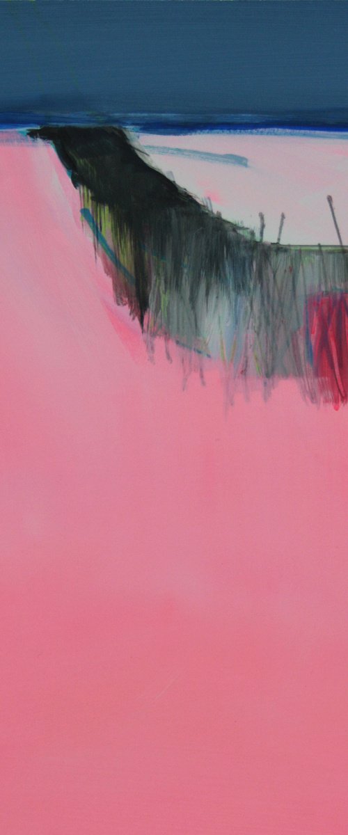 Rosy Field 1 by Katrin Roth