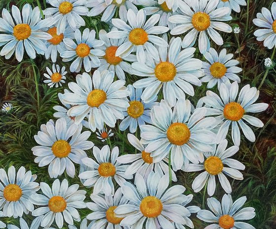 Daisies.