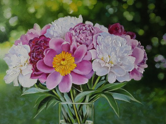 Sunlit Peonies