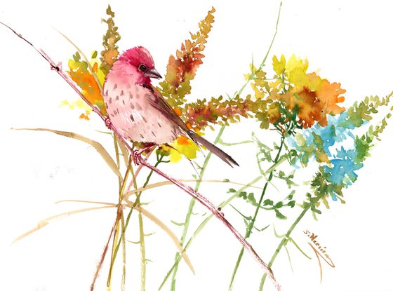 Rosefinch and Wildflowers