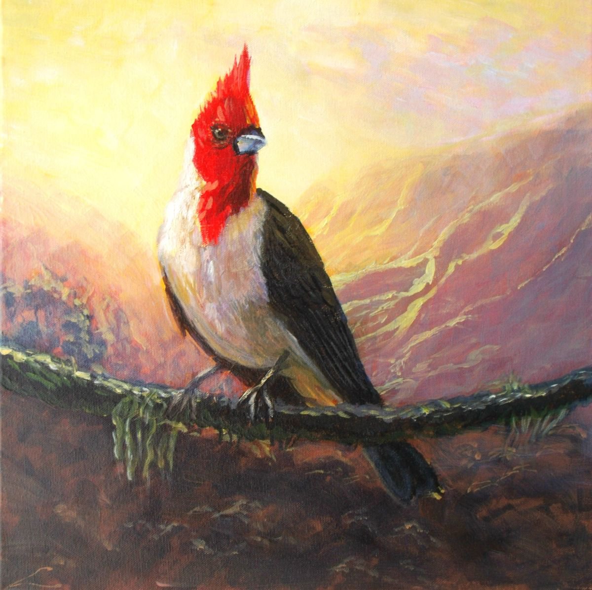 Impressionistic Animal Painting By Elena Sokolova, 16 X 16, Cardinal, Original Artwork