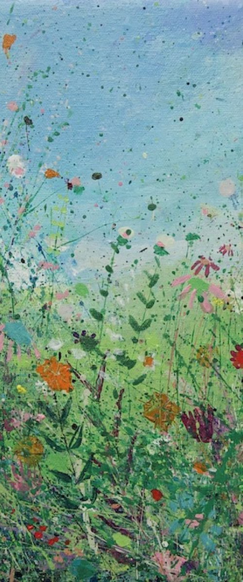 Field by Sandy Dooley