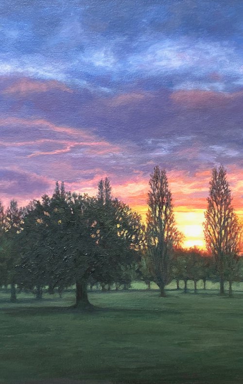 Sunset in Mill Hill Park (XIV) by Diana Sandetskaya