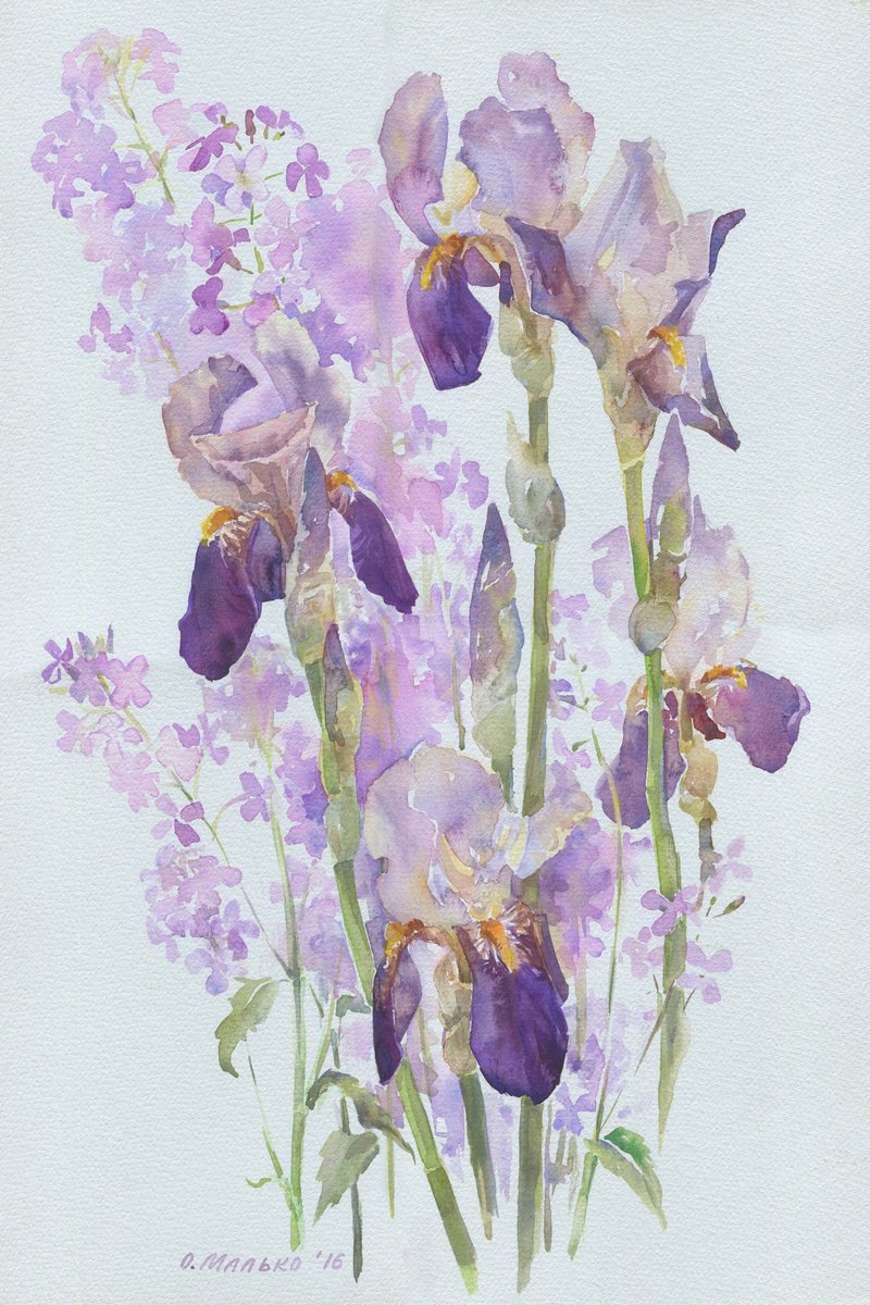 Purple irises Night violets by Olha Malko