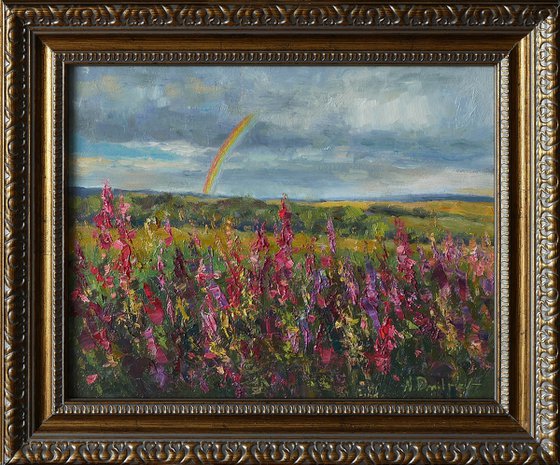 Rainbow Over Sunny Fields