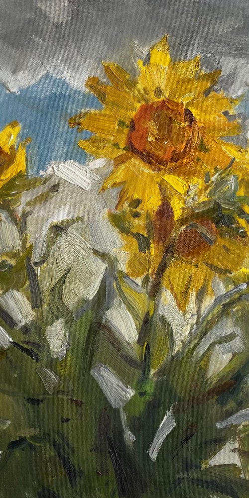 Sunflowers and grey sky by Nataliia Nosyk