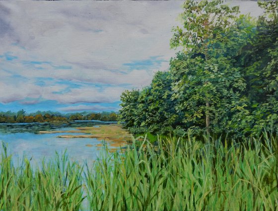 Landscape. On the banks of the river.  30x40cm.
