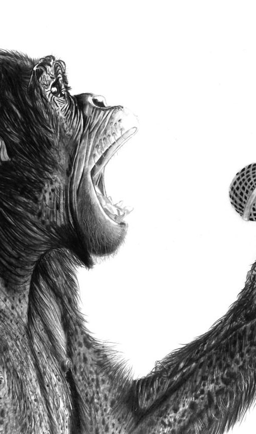 Monkey Man (Rolling Stones) by Paul Stowe