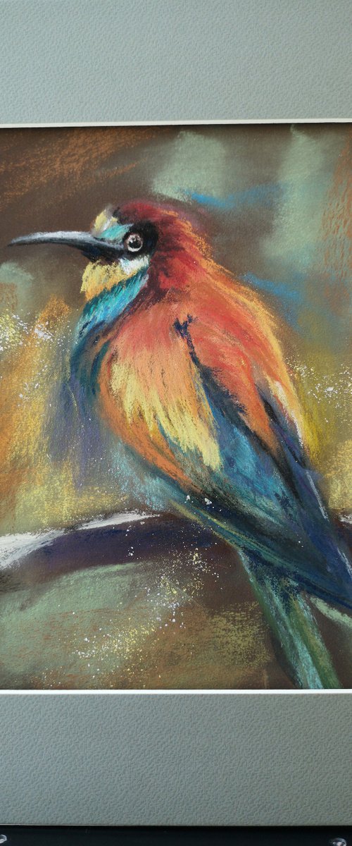 Bee Eater by Olga Tchefranov (Shefranov)