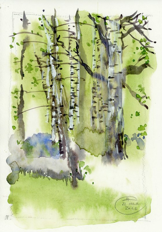 Trees. Spring birches