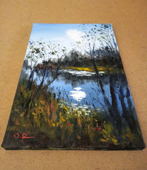 Impression. Autumn sun