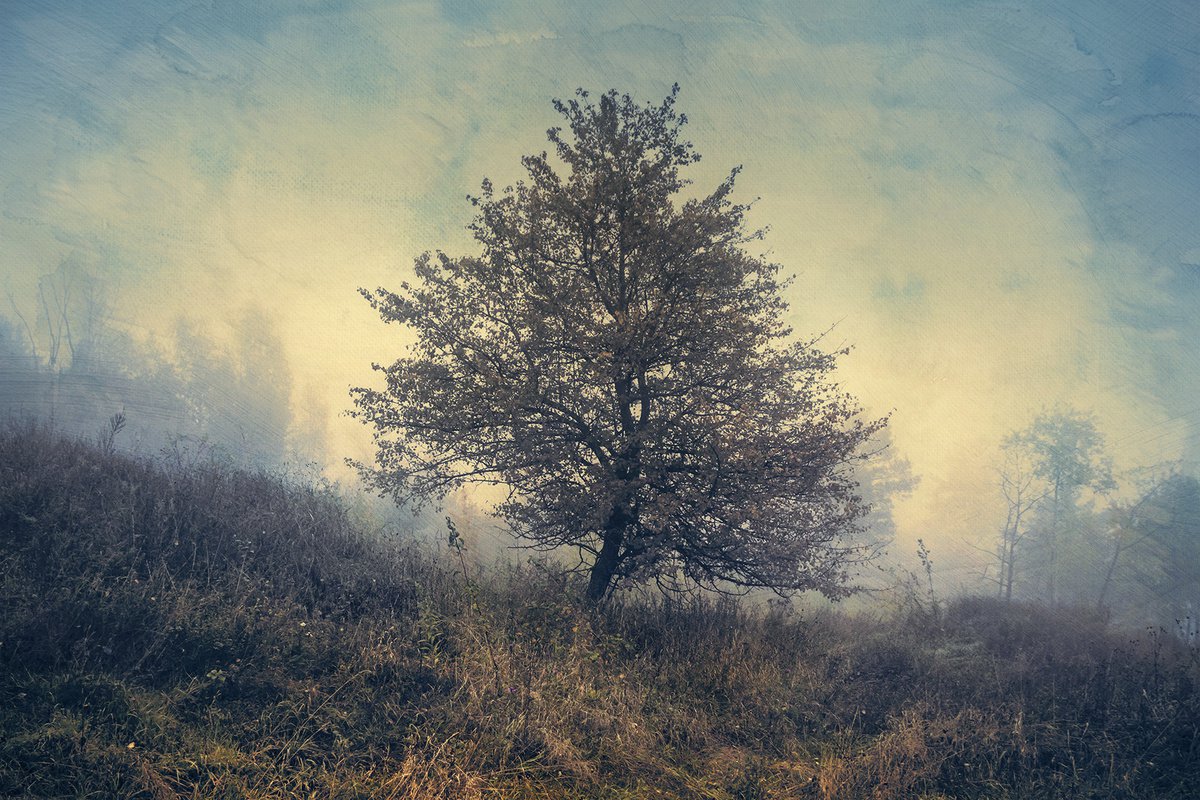 In the mist of autumn. Scene 5 by Valerix