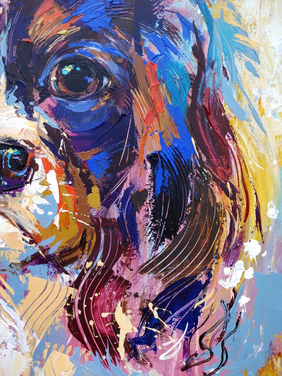 Cavalier King Charles Spaniel portrait