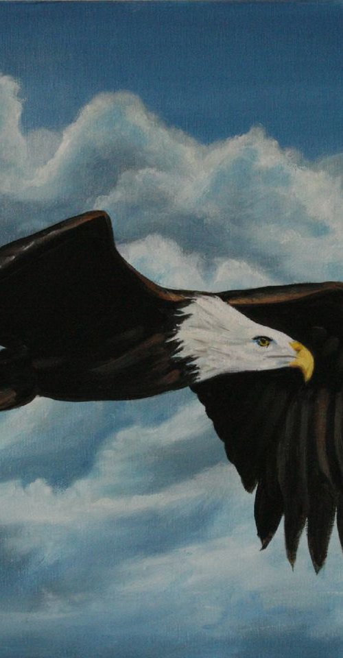 The Eagle by John Begley