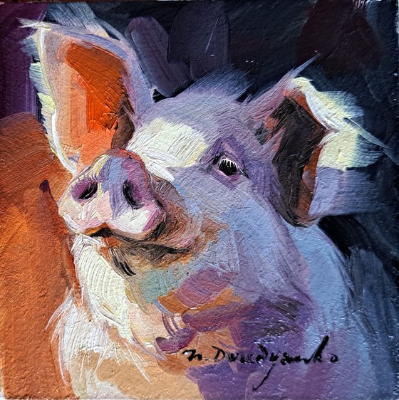 Pig portrait