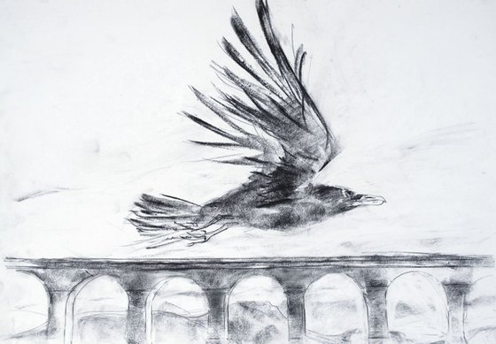 Raven and viaduct prep1