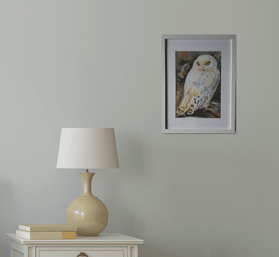 White owl (First snow in the old forest)